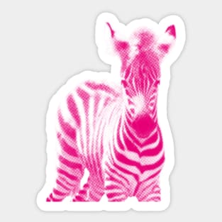 Zebra 05 Sticker